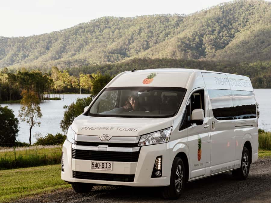 Gold Coast: Daytime Glow Worm Caves and Hop-on Hop-off Tour - Inside the 45-minute glow worm cave