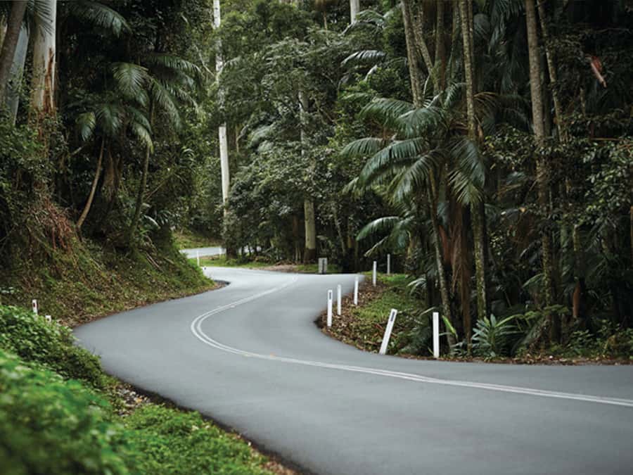 Gold Coast: Daytime Glow Worm Caves and Hop-on Hop-off Tour - What the $95 price really covers