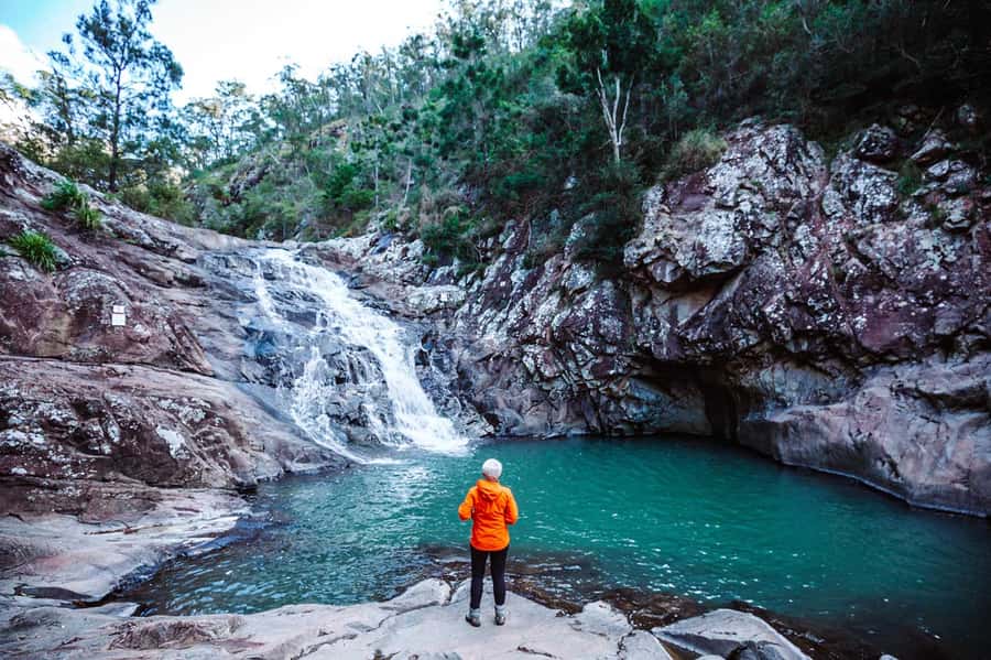 Gold Coast: Hop on Hop off Bus to Tamborine Mountain - What the drivers add to the day