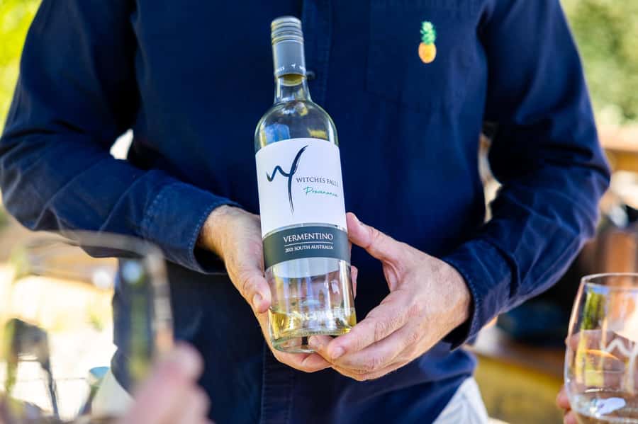 Gold Coast: Hop on Hop off Wine Tasting Tour to Mt Tamborine - The hop on hop off afternoon