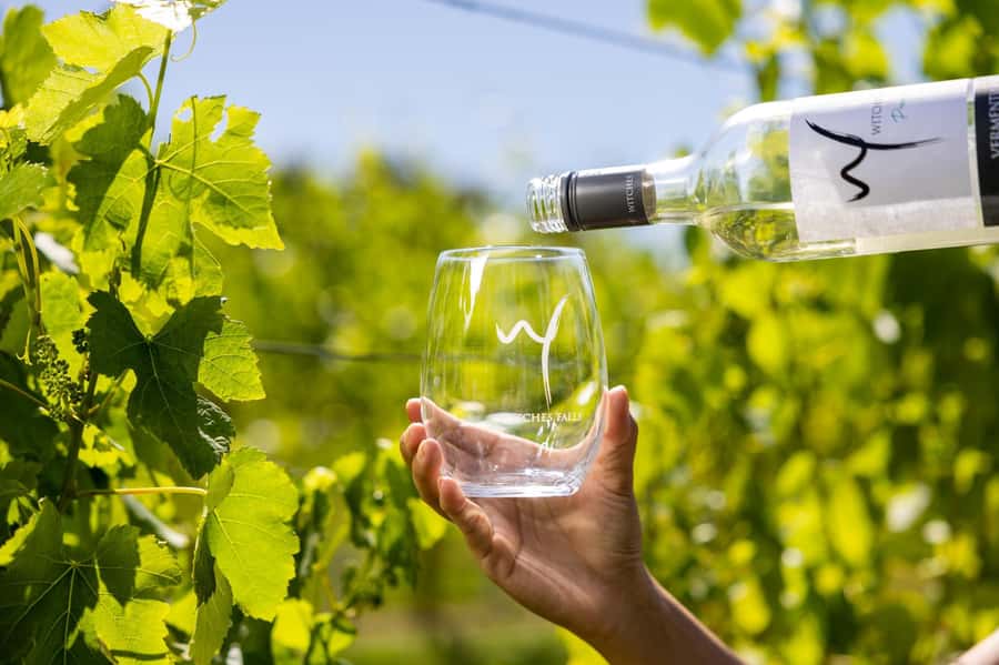 Gold Coast: Hop on Hop off Wine Tasting Tour to Mt Tamborine - What is included, and what is not