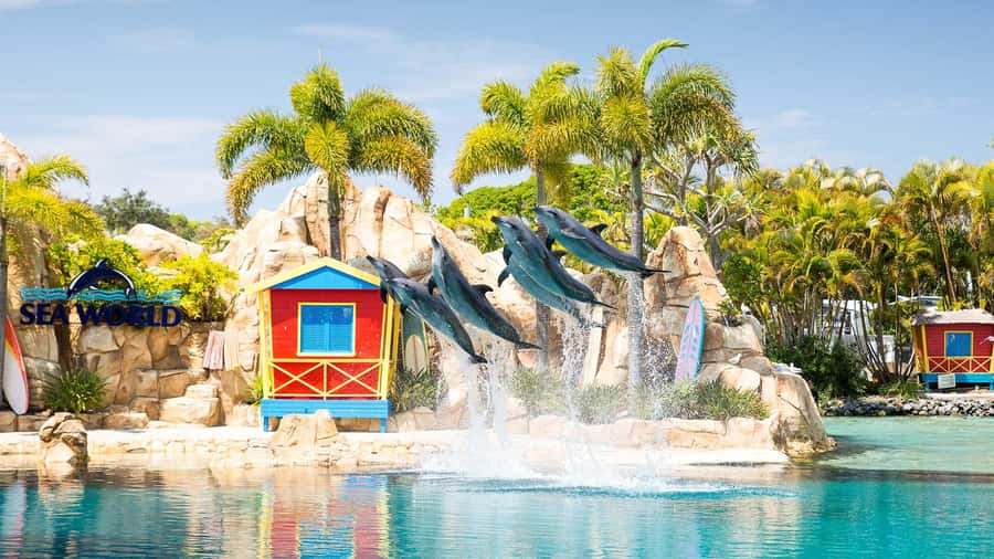 Gold Coast: Sightseeing Hop-on Hop-off Cruise - Is $25 a good value for one day?