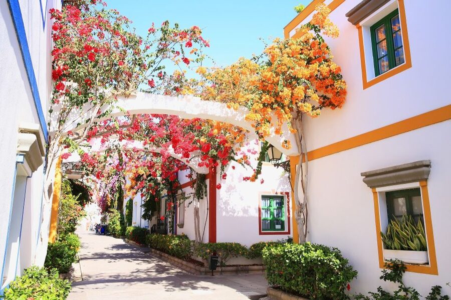 Gran Canaria: Full-Day Island Sightseeing Coach Tour - Gáldar, Guía, and the northern farming belt