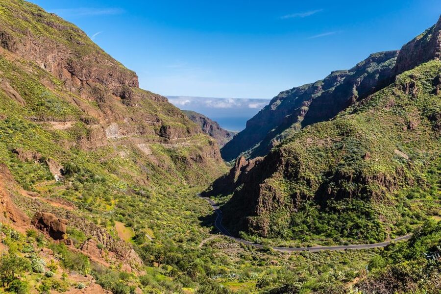 Gran Canaria: Full-Day VIP Tour by Bus - Key points to know before booking