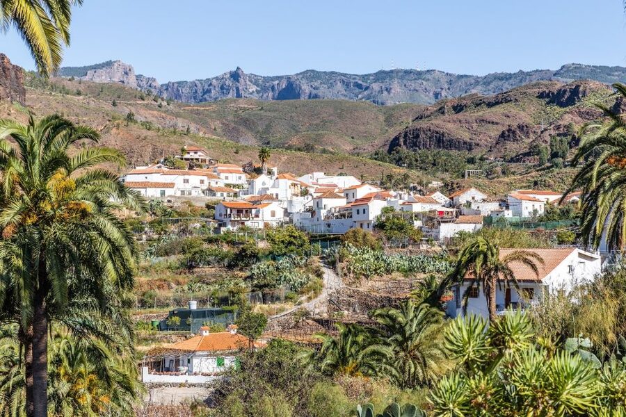 Gran Canaria: Full-Day VIP Tour by Bus - Guides, languages, and the human side of the day