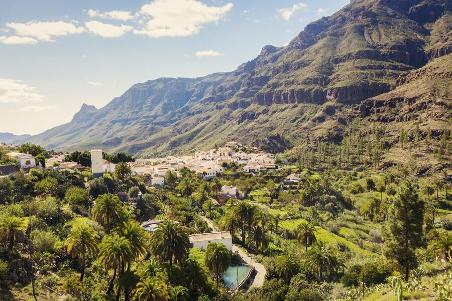 Gran Canaria: Full-Day VIP Tour by Bus - Fataga and the Valley of a Thousand Palm Trees