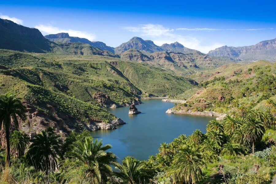 Gran Canaria: Full-Day VIP Tour by Bus - Guayadeque and the island’s aboriginal past