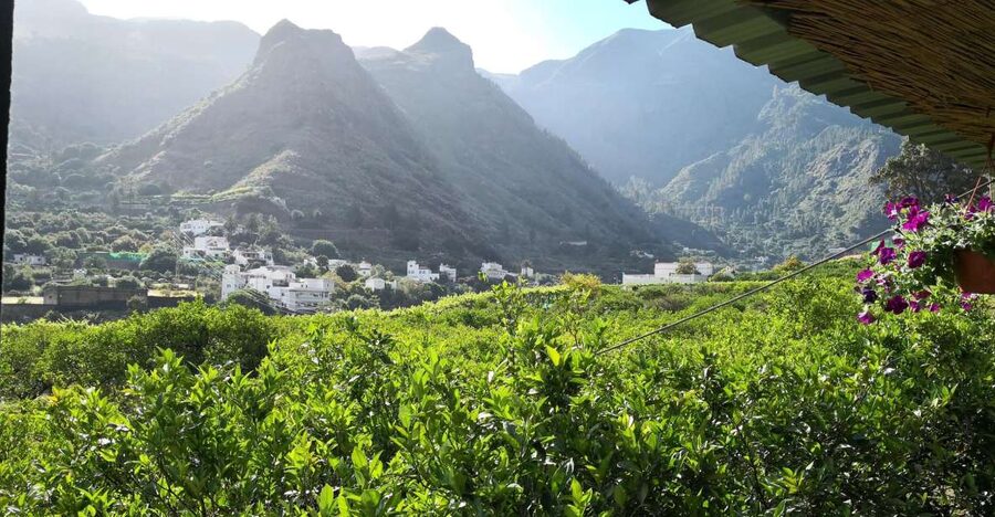 Gran Canaria: Grand Island Tour by Bus with Transfers - Key points to know before you book