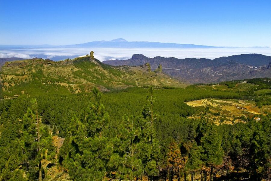 Gran Canaria Highlights Full-Day Tour by Bus - Arucas and the Gothic church