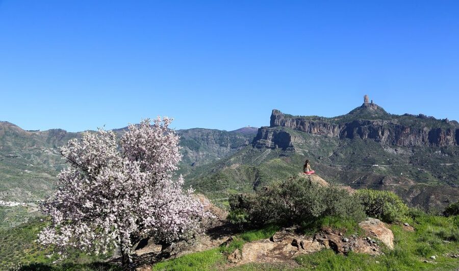 Gran Canaria Highlights Full-Day Tour by Bus - Teror, the pilgrimage town