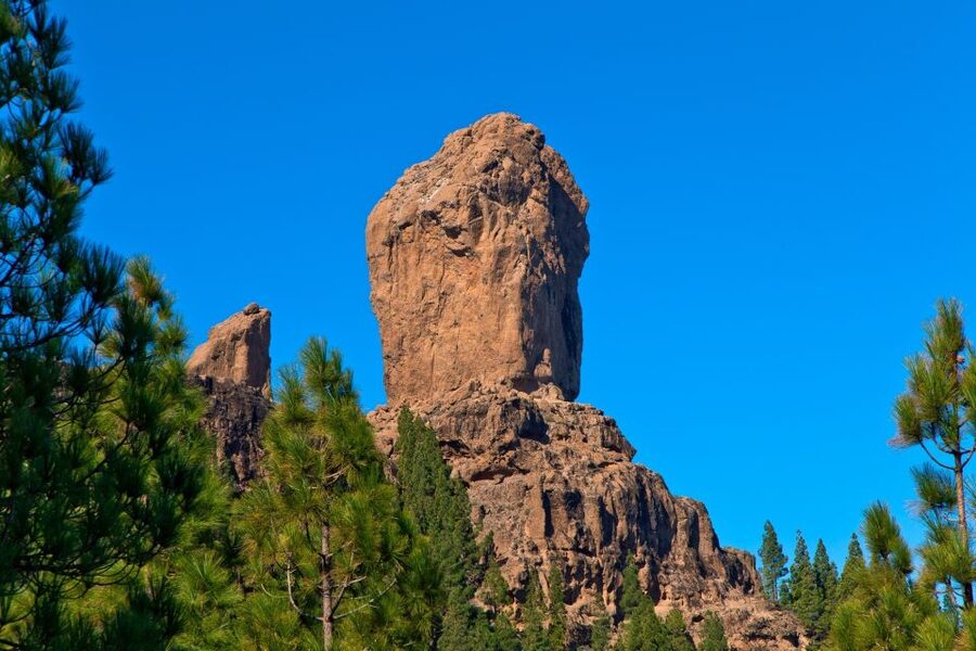 Gran Canaria Highlights Full-Day Tour by Bus - The aloe vera stop