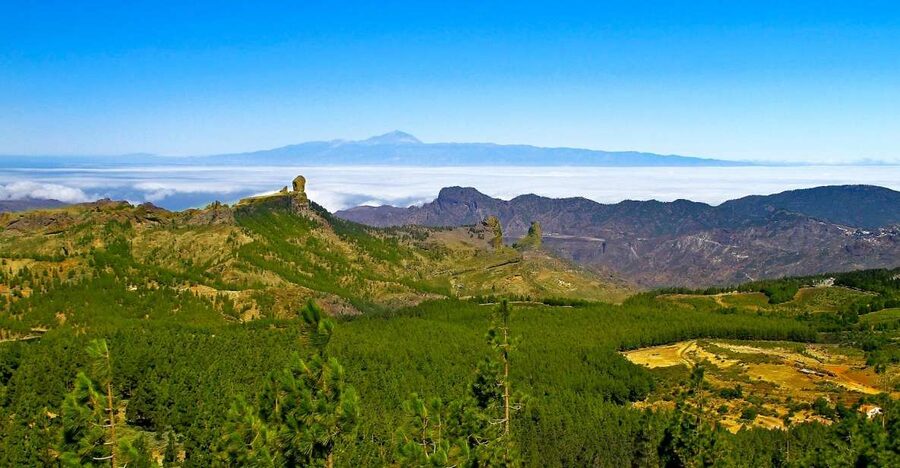 Gran Canaria Highlights Full-Day Tour by Bus - Pickup logistics across the southern resorts