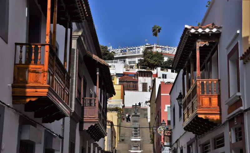 Gran Canaria Peaks in Minibus: Firgas, Teror, Aloe Vera tour - La Degollada de Becerra and the high mountain views