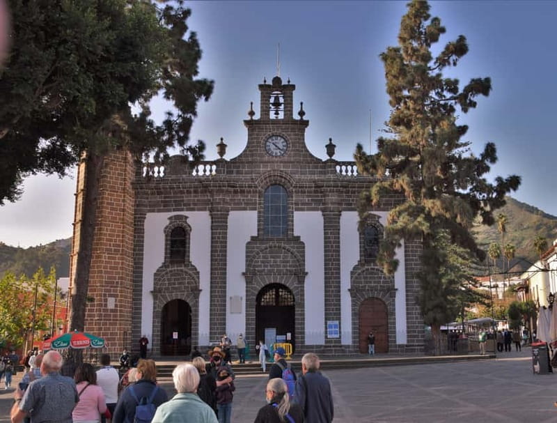 Gran Canaria Peaks in Minibus: Firgas, Teror, Aloe Vera tour - Degollada de las Yeguas to finish the scenic route