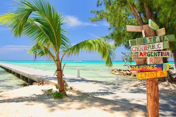 Grand Cayman Private Customized Bus Tour - Turtles, Devil’s Grotto, and Hell