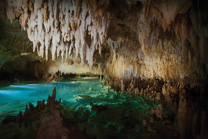 Grand Cayman Private Customized Bus Tour - Morning or afternoon changes the feel of the day