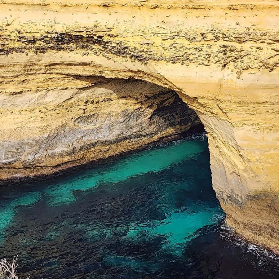 Great Ocean Road Tour Melbourne Relaxed Way In Premium coach - Why the reverse Great Ocean Road route makes sense