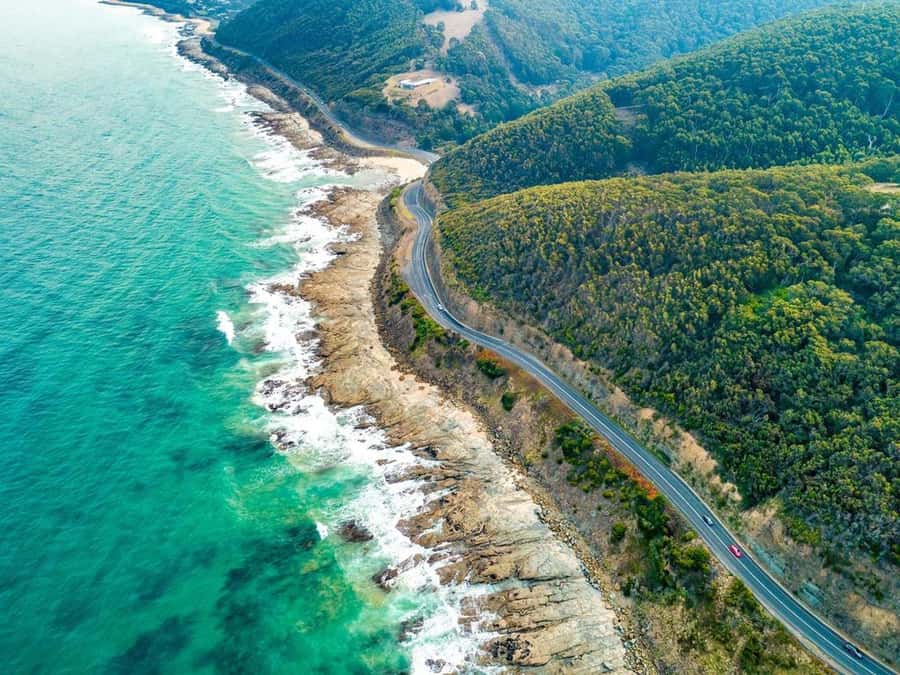 Great Ocean Road Tour Melbourne Relaxed Way In Premium coach - Looking for koalas and kangaroos