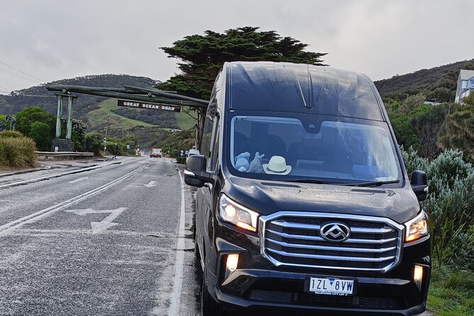 Great Ocean Road Tour Reverse –SML GRP-DLUX Mini Bus Hotel Pickup - Tom and Eva Lookout brings the shipwreck story close