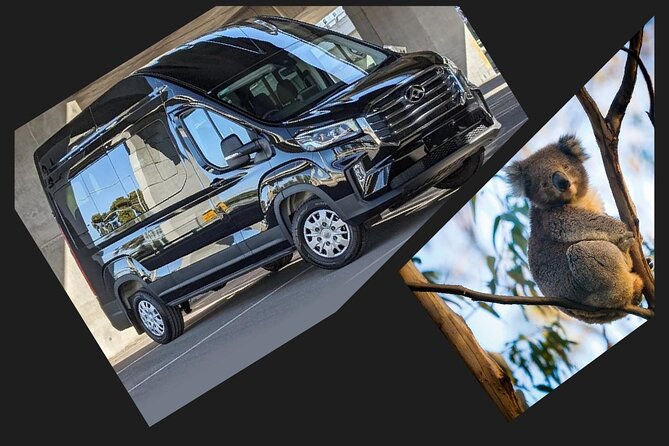 Great Ocean Road Tour Reverse –SML GRP-DLUX Mini Bus Hotel Pickup - Apollo Bay is lunch, not a long beach break