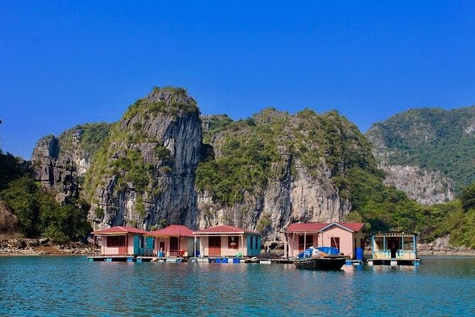 Ha Long Bay Day Cruise, Cave, Kayaking, Swimming, Bus & Lunch - Why this Ha Long Bay day cruise works