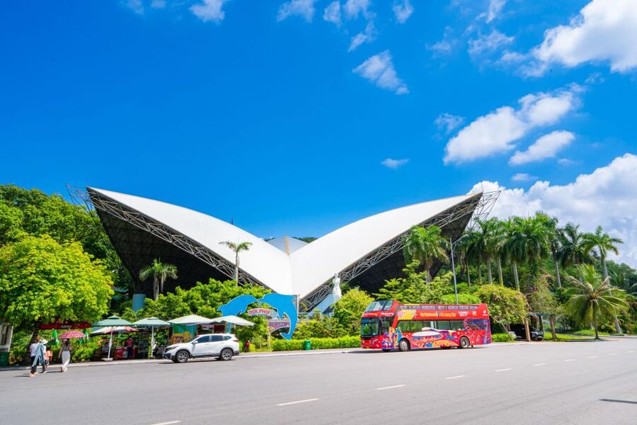 Ha Long: City Sightseeing Hop-On Hop-Off Bus Tour - Who should choose this tour?
