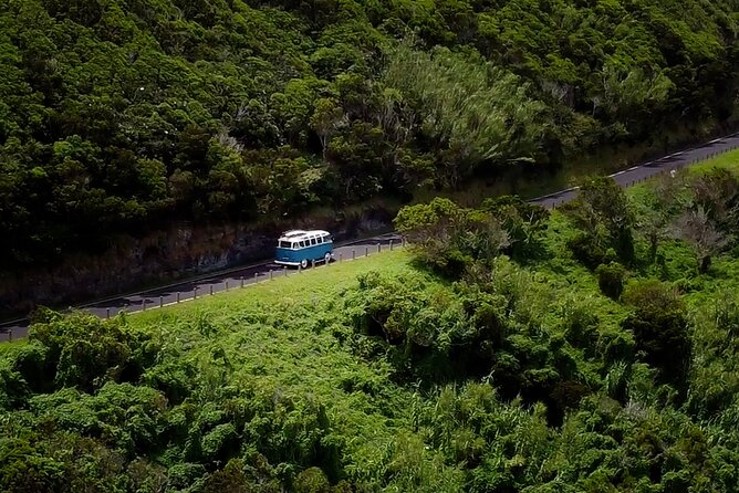 Half-Day VW Samba Private Bus Tour around Faial Island - From Horta to the volcanic west