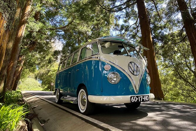 Half-Day VW Samba Private Bus Tour around Faial Island - Monte da Guia and Horta from above