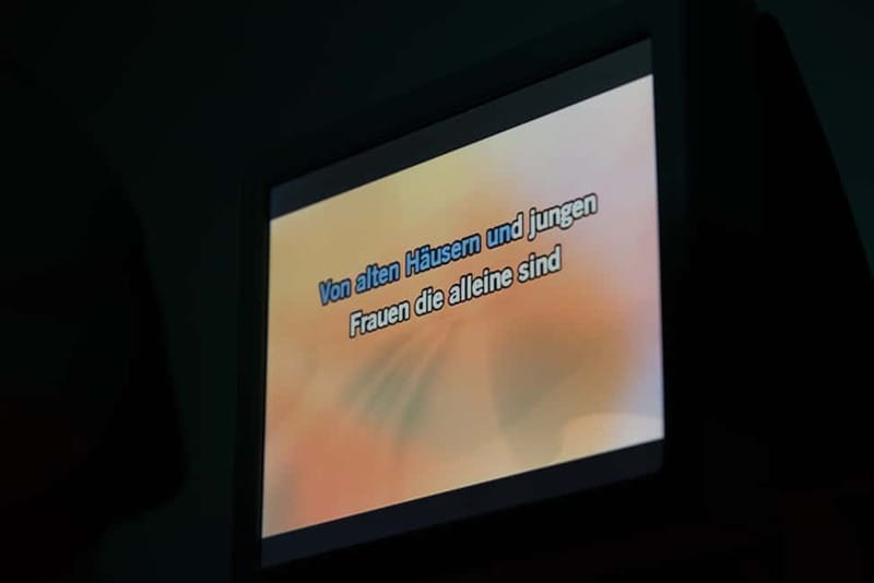 Hamburg: 1.5-Hour International Karaoke Bus Tour - A Song List That Reaches Beyond International Pop