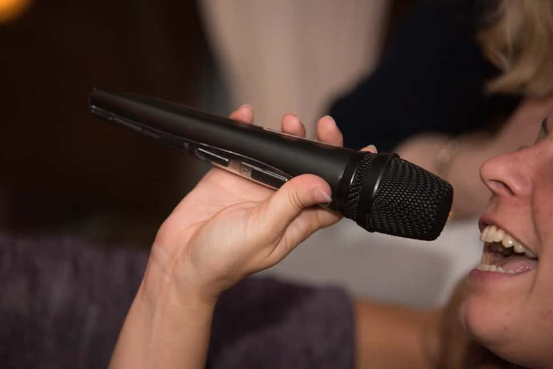 Hamburg: 1.5-Hour International Karaoke Bus Tour - English and German, With No Language Barrier