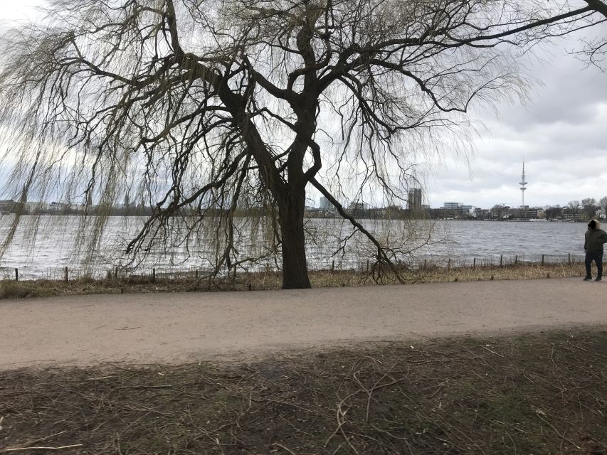 Hamburg: Line C Sightseeing Hop-On Hop-Off Bus Tour - What the 1.5-hour circuit is really worth