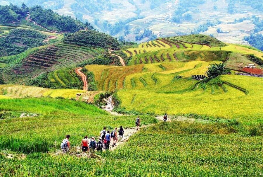 Hanoi: Sapa Trekking 2 Days 1 Night - Sleeper Bus from Hanoi - Returning to Hanoi by sleeper bus