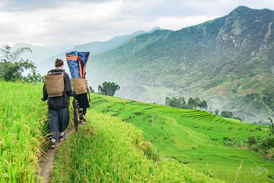 Hanoi: Sapa Trekking 2 Days 1 Night - Sleeper Bus from Hanoi - An evening in Sapa town