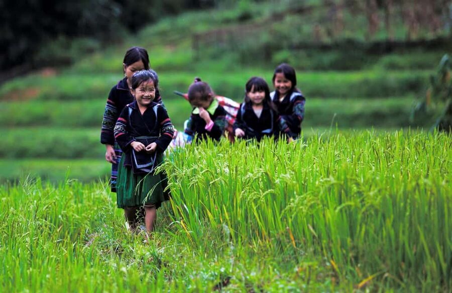 Hanoi: Sapa Trekking 2 Days 1 Night Transfer with Cabin Bus - Lao Chai and the Approach to Ta Van