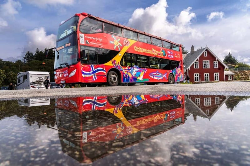 Haugesund: City Sightseeing Hop-On Hop-Off Bus Tour - Who will get the most from this bus tour?