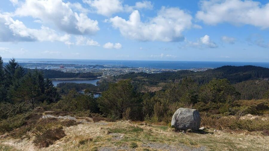 Haugesund: Guided Scenic Minibus tour of Haugesund - City Hall and Haugesund’s civic story