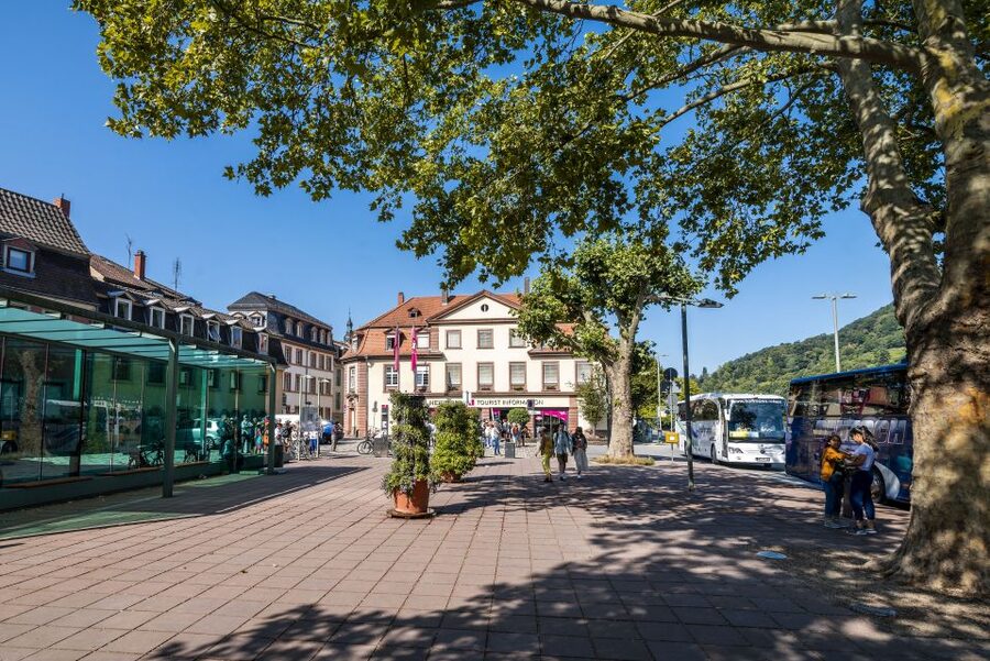 Heidelberg: Sightseeing Bus and Castle Tour - A two-hour introduction to Heidelberg