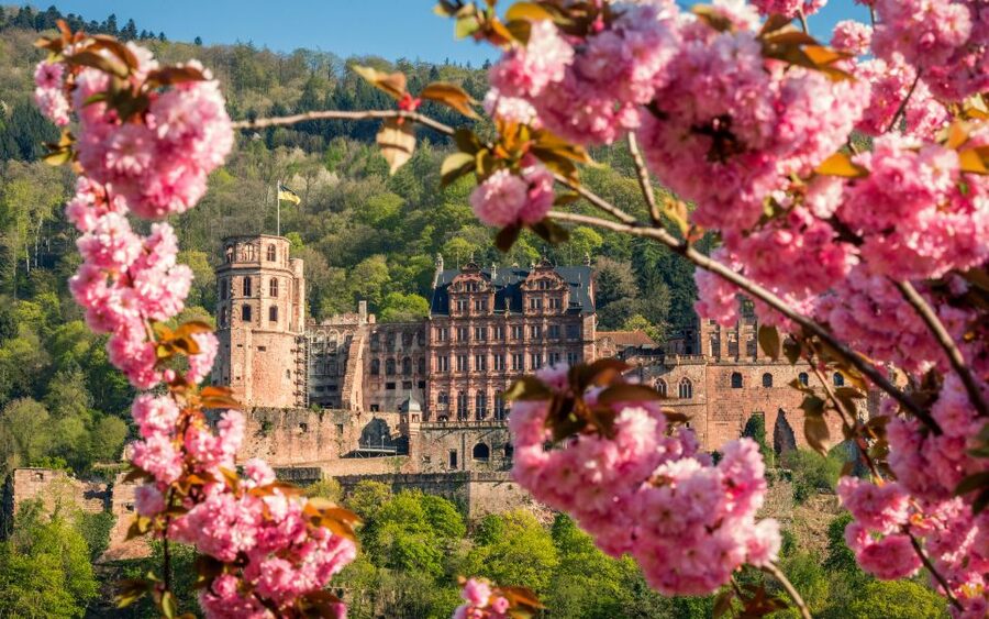 Heidelberg: Sightseeing Bus and Castle Tour - Neckarmünzplatz and the start of the bus ride