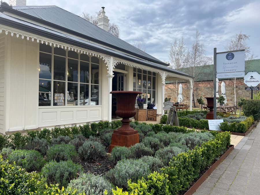 Historic Richmond Village Half-Day Coach Tour - Why Richmond Works as a Half-Day Trip