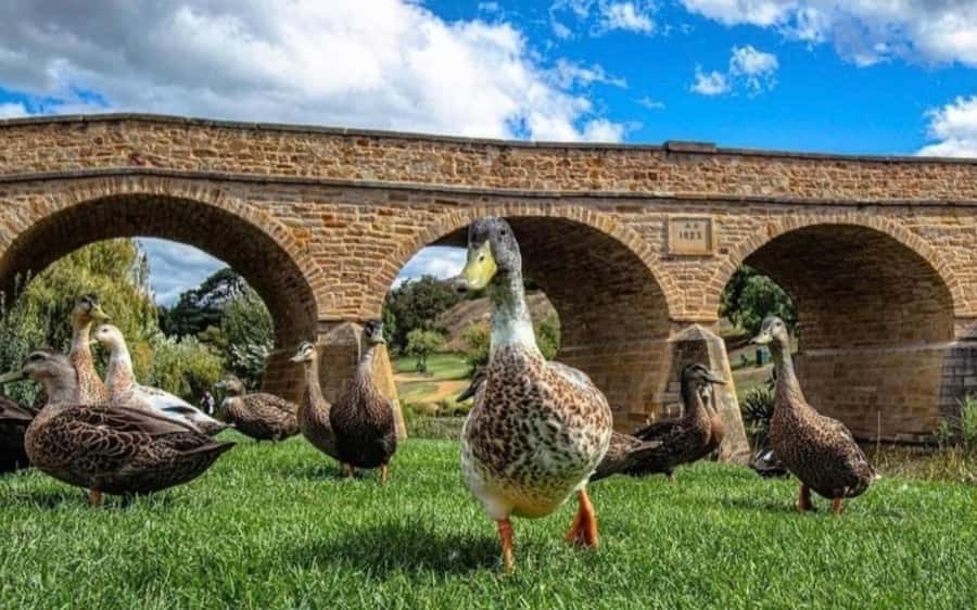 Historic Richmond Village Half-Day Coach Tour - Who Will Enjoy This Tour Most