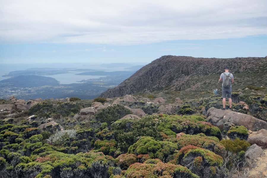 Hobart: kunanyi/Mt Wellington Explorer Bus Pass - From Brooke Street Pier to the summit