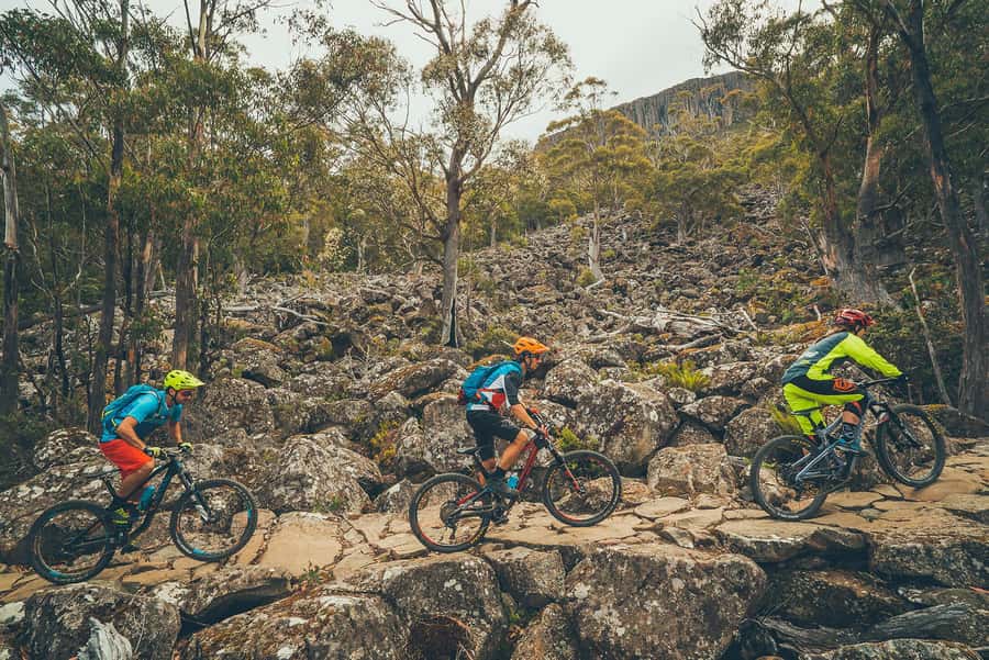 Hobart: kunanyi/Mt Wellington Explorer Bus Pass - Who will enjoy this bus most?