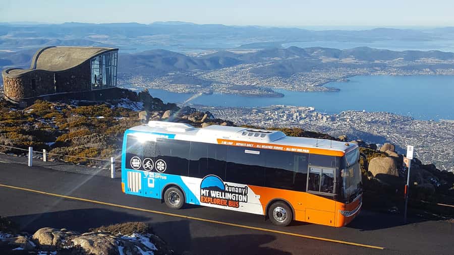 Hobart: kunanyi/Mt Wellington Explorer Bus Pass - Fern Tree, the mountain gateway