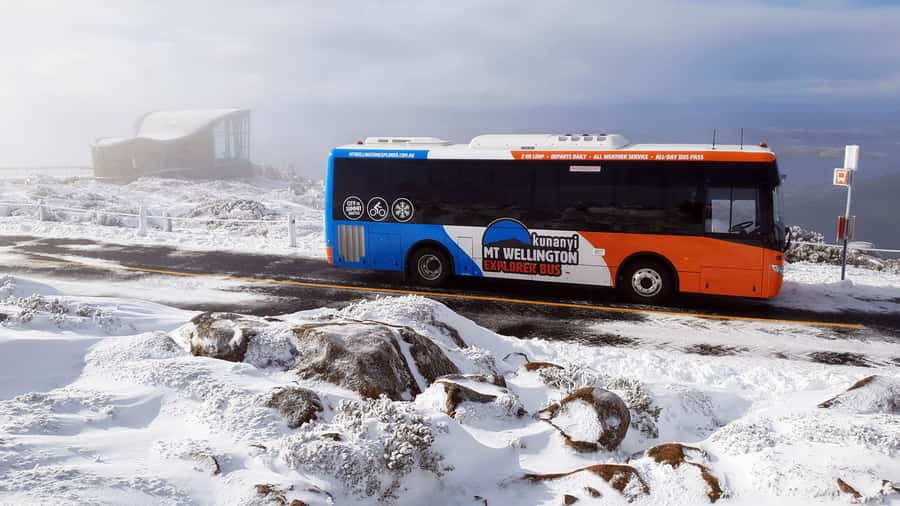 Hobart: kunanyi/Mt Wellington Explorer Bus Pass - Forty minutes at Wellington Park