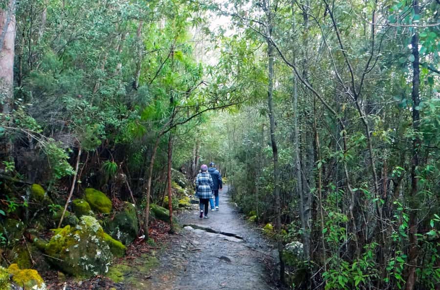 Hobart: kunanyi/Mt Wellington Explorer Bus Pass - Comfort, access, and the meeting point
