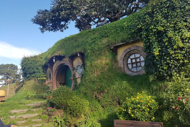 Hobbiton Afternoon Tour in Luxury Minibus from Auckland - Why this afternoon departure works so well