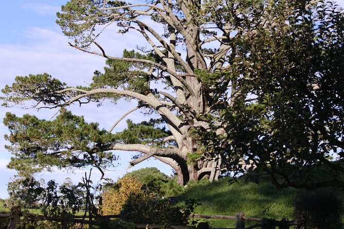 Hobbiton Afternoon Tour in Luxury Minibus from Auckland - Entering Hobbiton’s two-hour guided visit