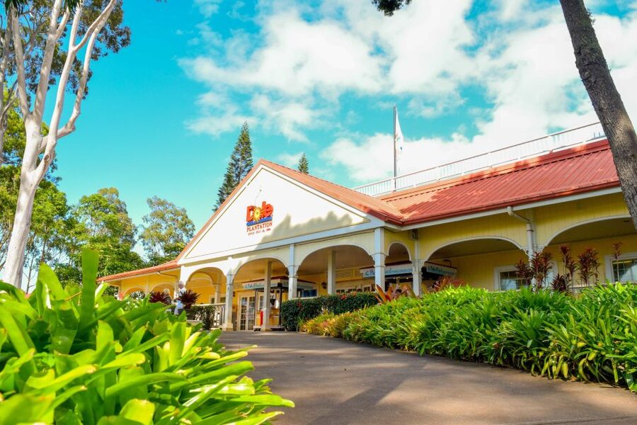 Honolulu: Oahu Island Full-Day Guided Tour by Bus with Lunch - North Shore beaches and the long road north