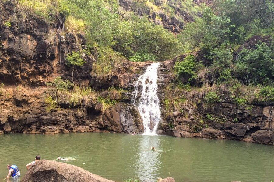 Honolulu: Oahu Island Full-Day Guided Tour by Bus with Lunch - Waimea Valley gives the day its active center