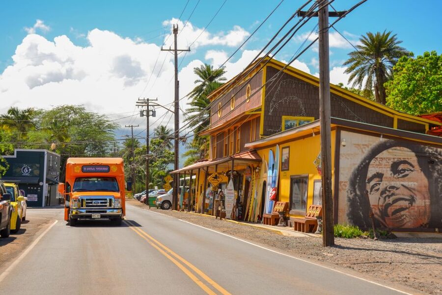 Honolulu: Oahu Island Full-Day Guided Tour by Bus with Lunch - Dole Plantation, pineapples, and a commercial finish